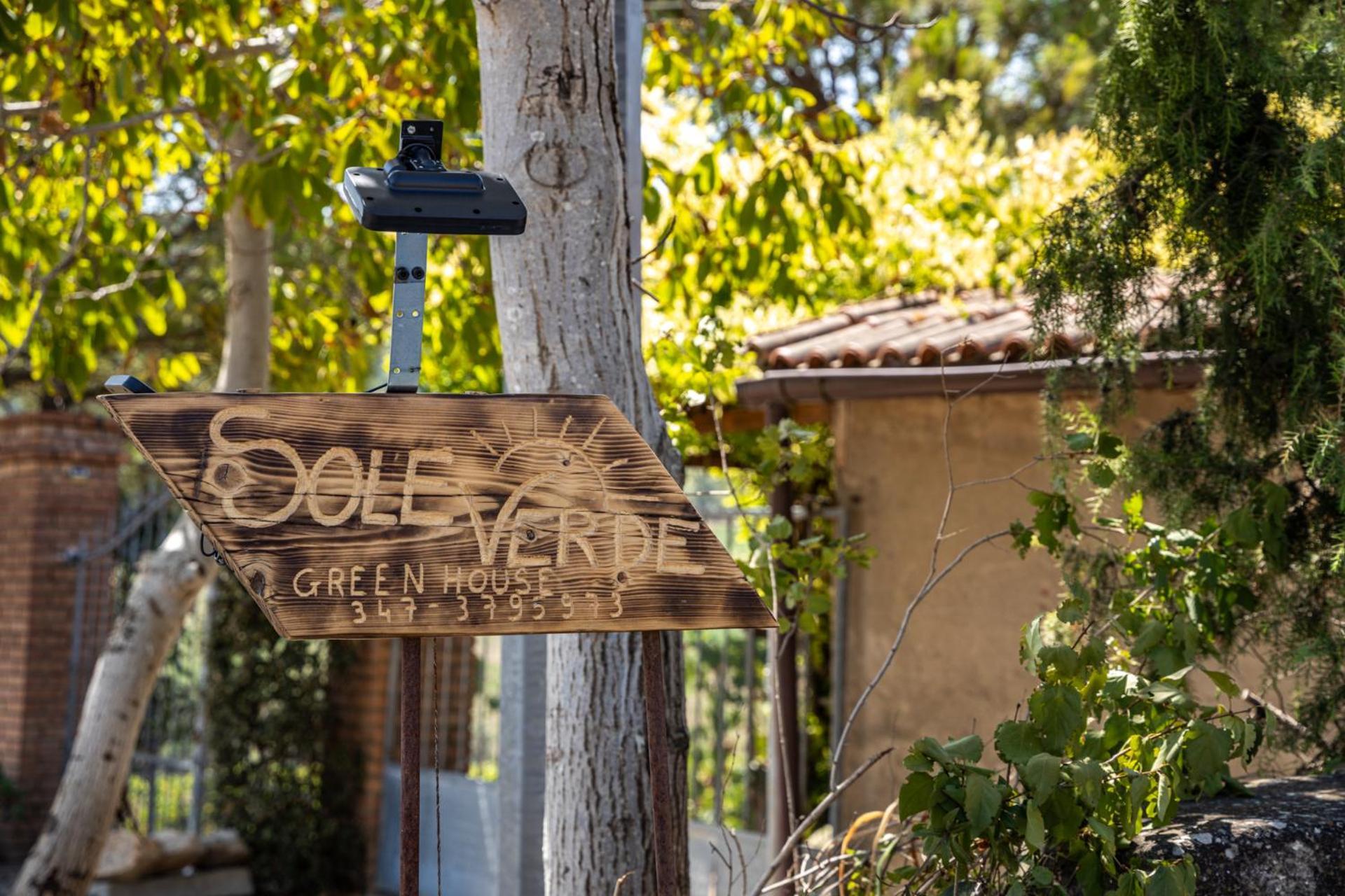 Sole Verde Green House Terricciola 外观 照片